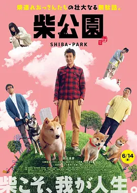 久久久av免费