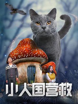 中文精品久久久久国产网站