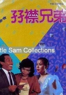 儿子的媳妇