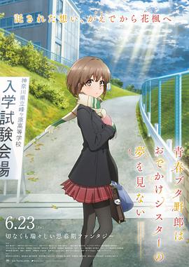 久久综合五月婷婷