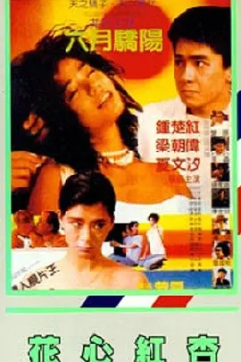 中文字幕观看