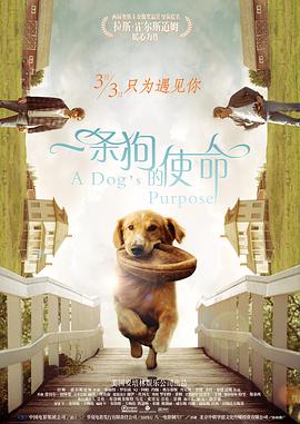 国产在线91精品入口首页