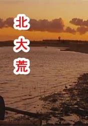 久久精品国产三级不卡