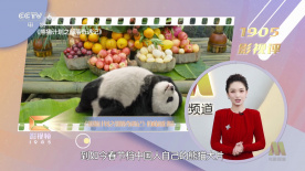 中文字幕一区二区不卡